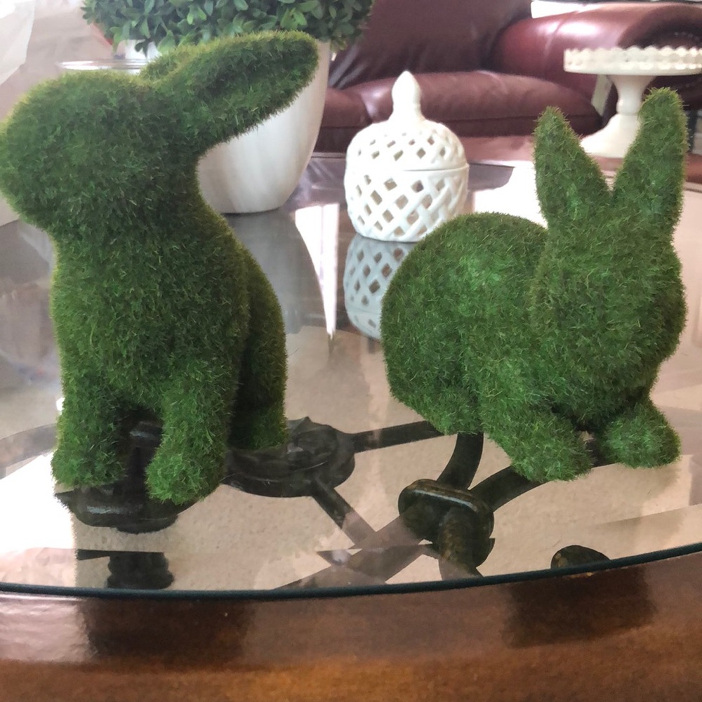 Conejitos